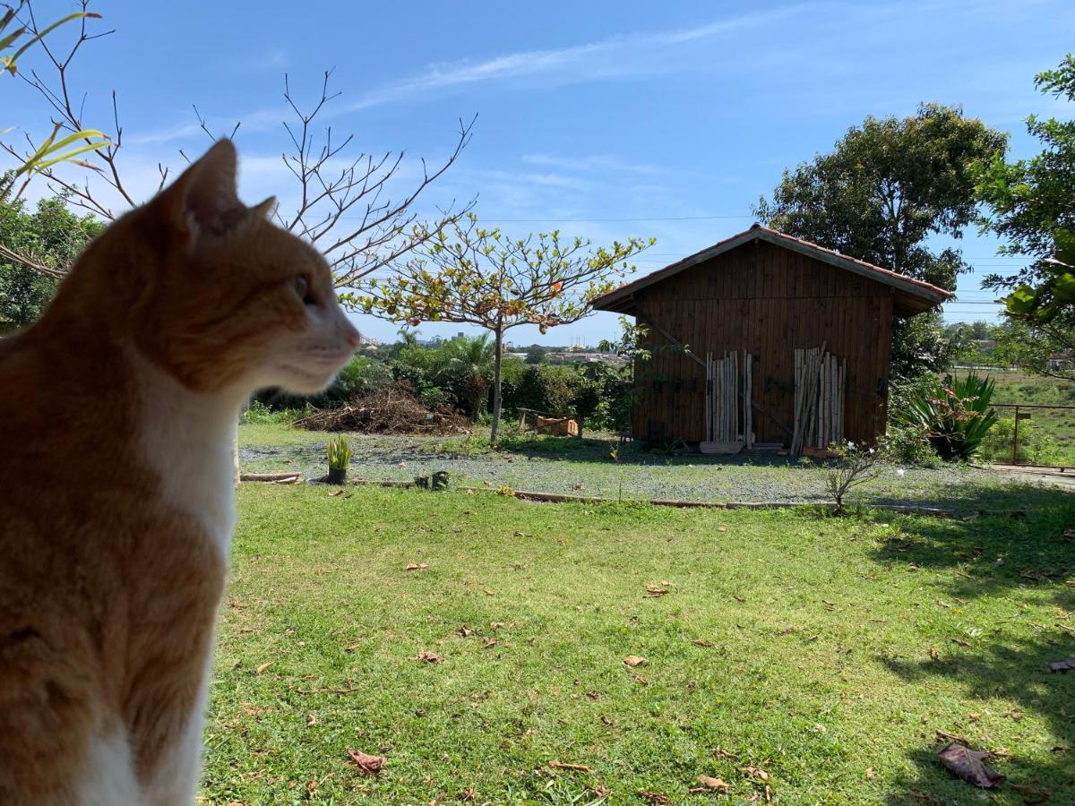Aymuray Hostel E Pousada Penha  Dış mekan fotoğraf